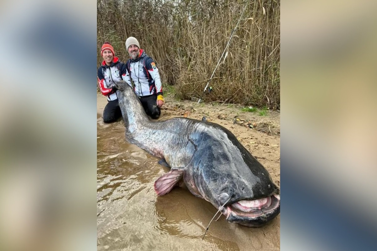 Zvuci kao legenda, ali istina je: dva ribara ulove ribu dugu 3 metra i postave svjetski rekord